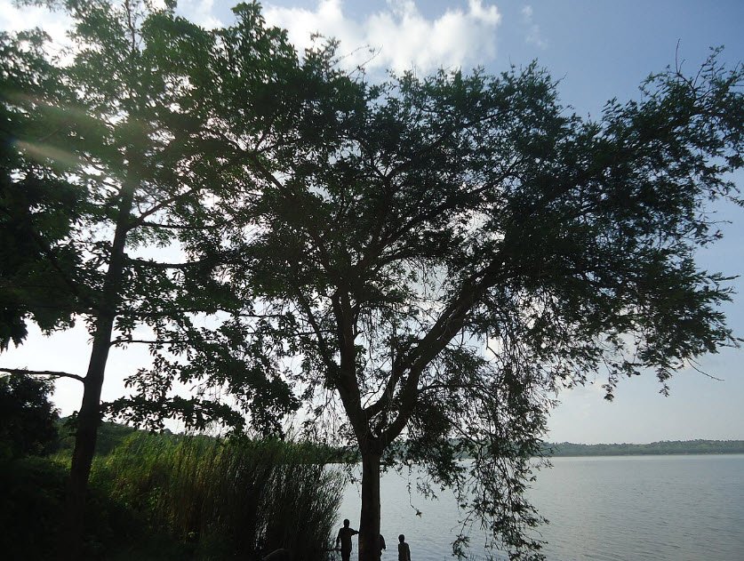 Lake Rwihinda , Kirundo Province, Northern Burundi, Burundi